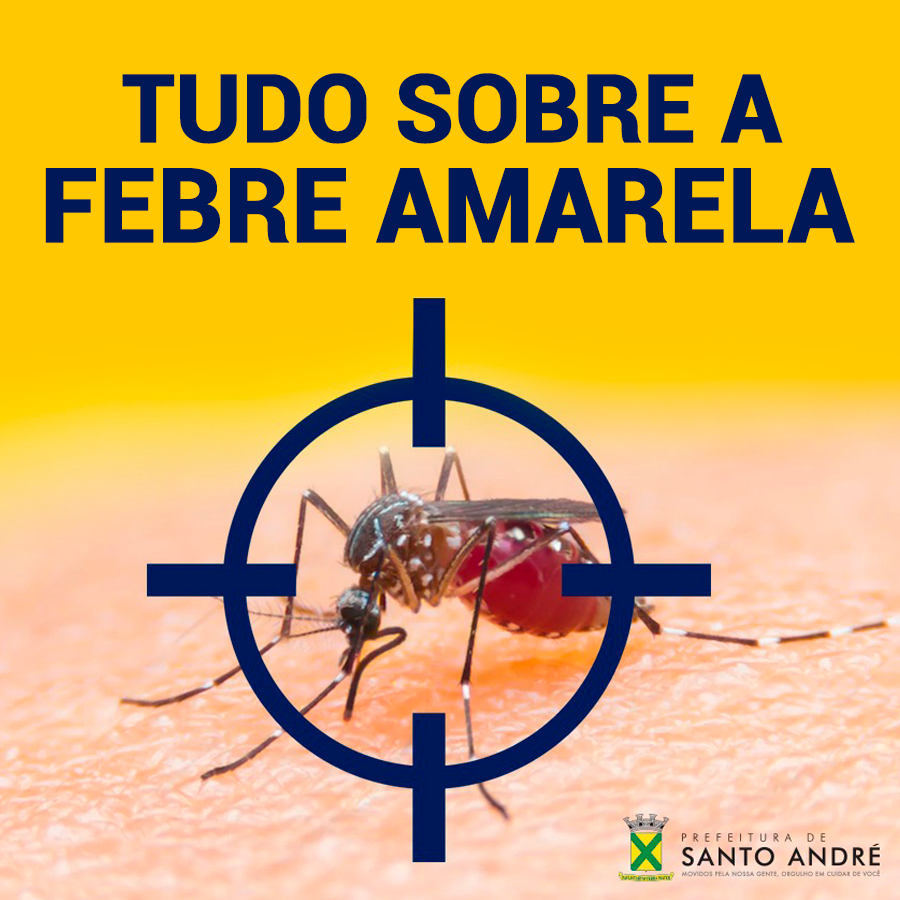 Imagem de Febre Amarela: Tire suas dúvidas sobre a doença

