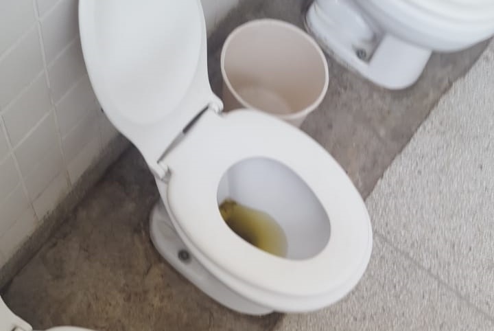 Imagem de Creche Henfil está sem água e crianças têm aula em situação precária 